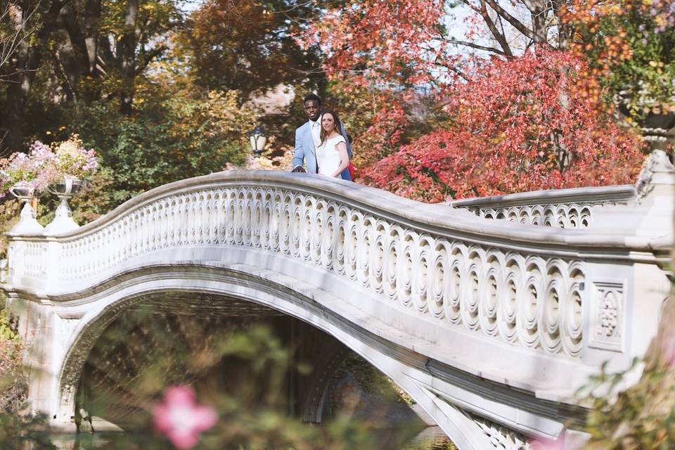 Bow bridge