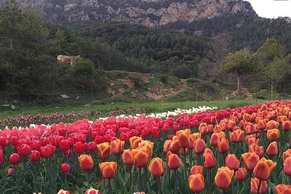 Paisajes de ceremonia