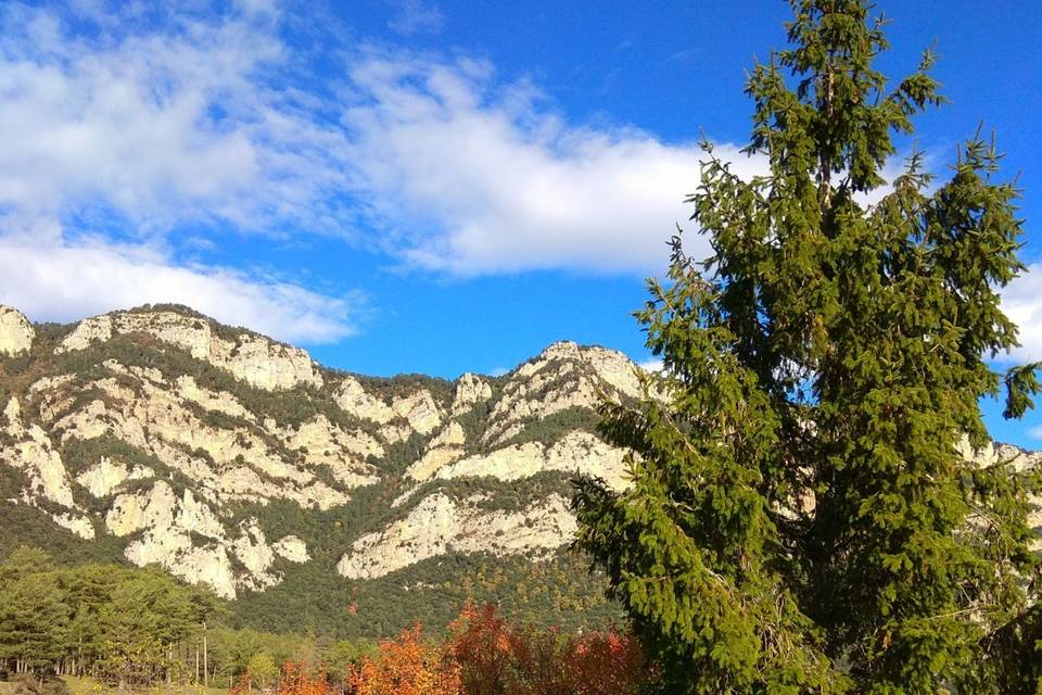 Colores de otoño