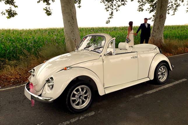 Volkswagen Beetle cabrio