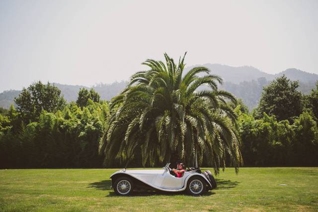 Momenta Bodas