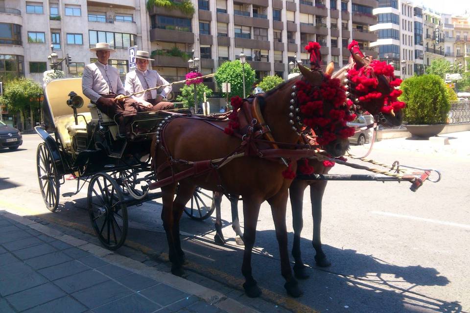 Huerta del Sello