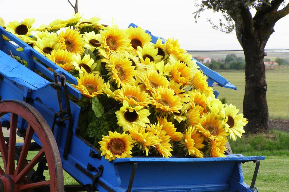 Carro girasoles