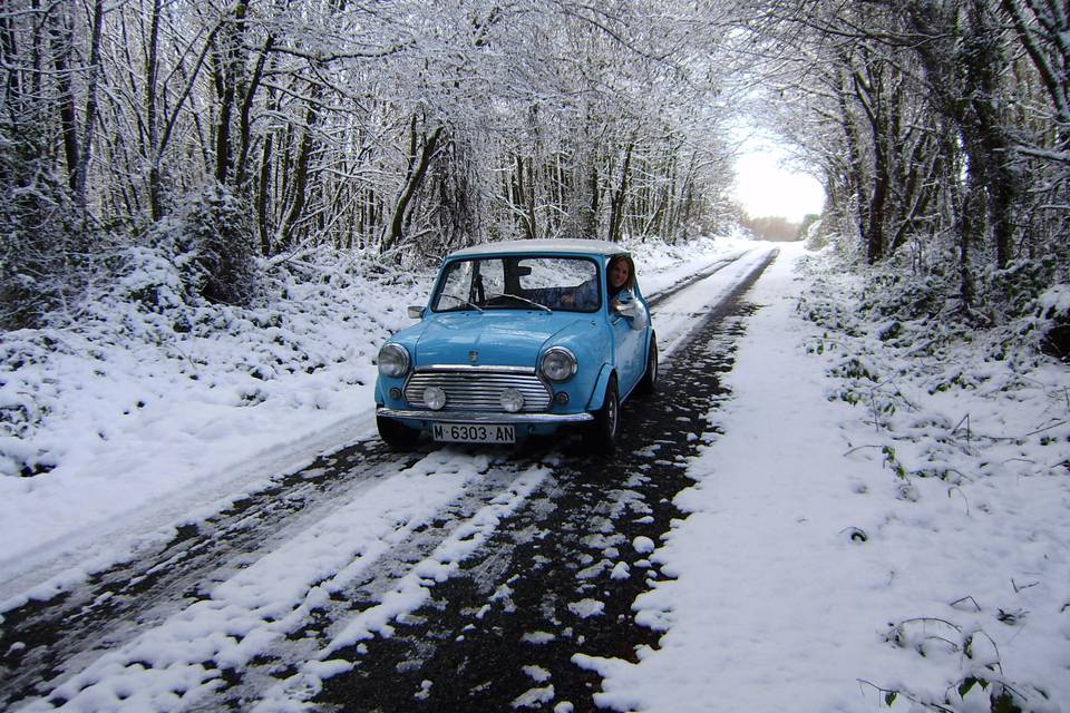 Peugeot en finca