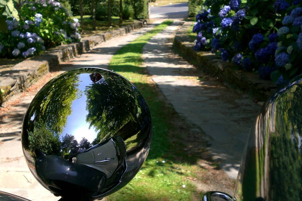 Detalle Citroen 11