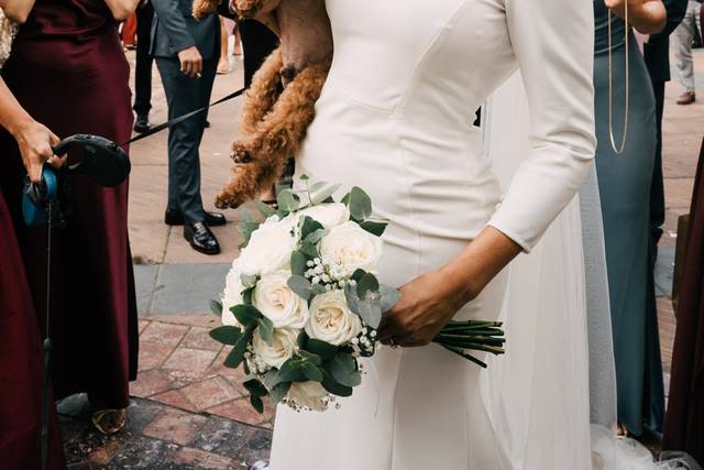 Diego Torres Weddings