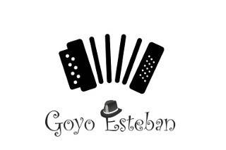 Goyo Esteban - Acordeonista