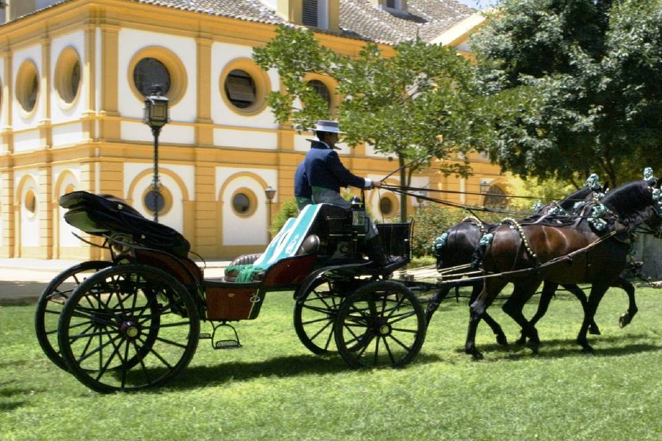 Alquiler de coches de caballos