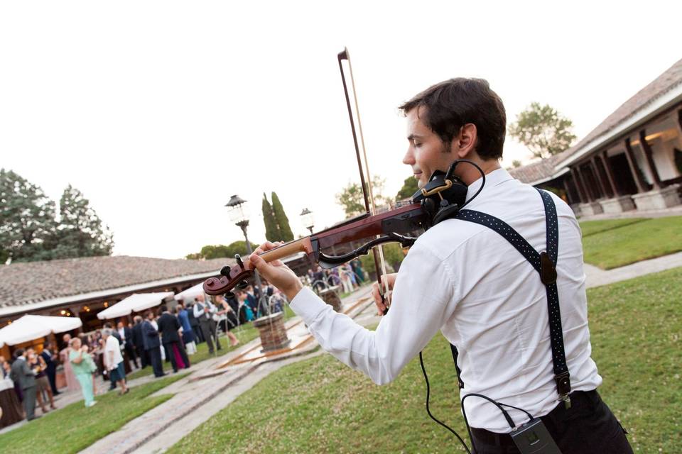Violín eléctrico en el cóctel