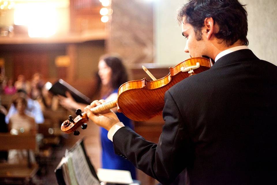 Violinista