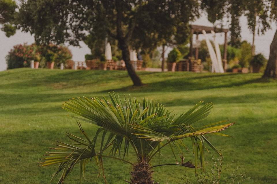 Entrada a la finca