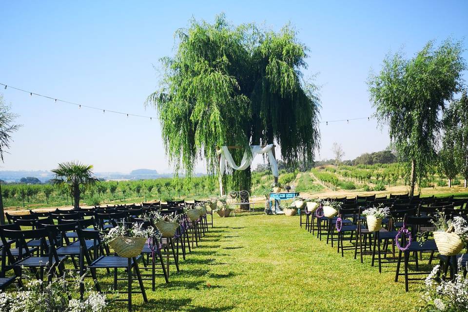 Banquete en la plaza