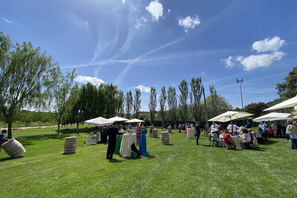 Aperitivo en el jardín