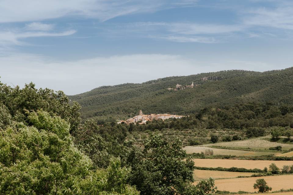 Vistas de la Llacuna