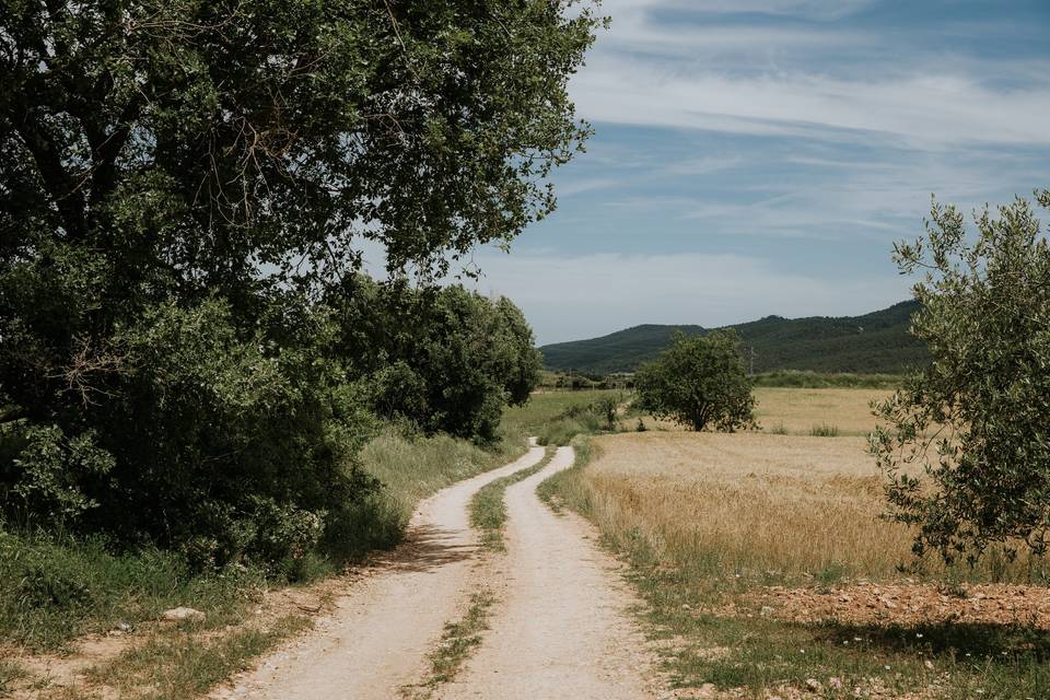 Camino a la Masia