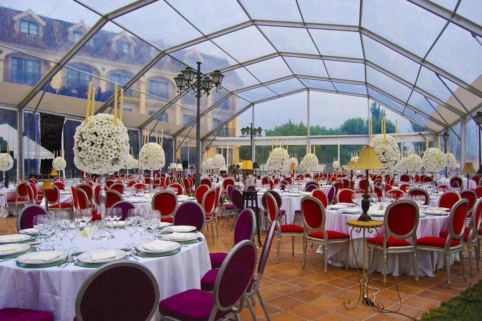 Carpa en el jardín