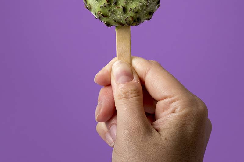 KURIMUM MATCHA