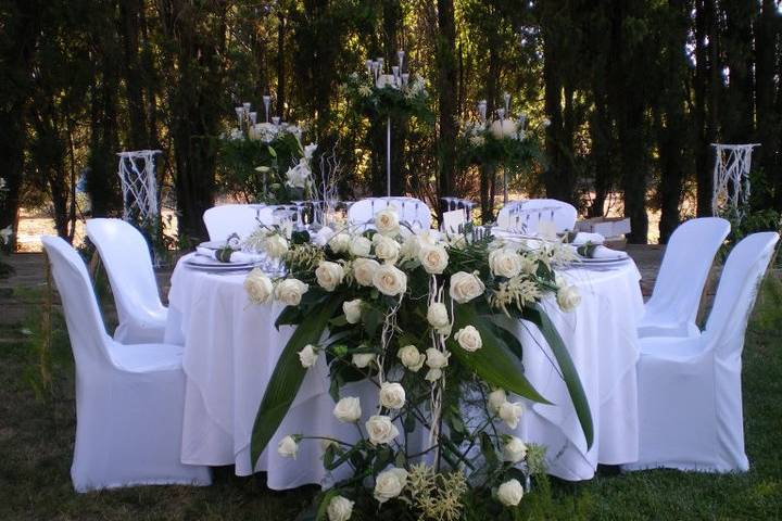 Mare Selva Eventos