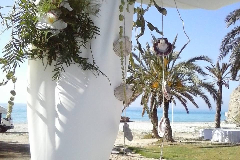 Bodas en la playa