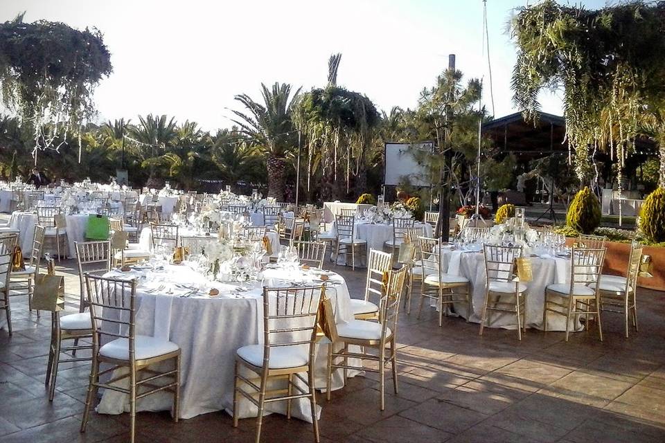 Mare Selva Eventos