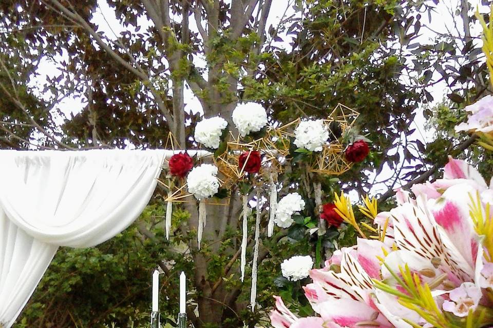 Aquí empieza la boda de tus sueños