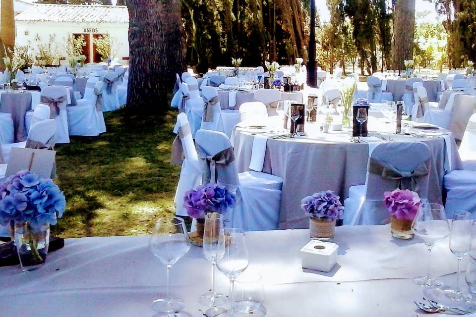 Mare Selva Eventos