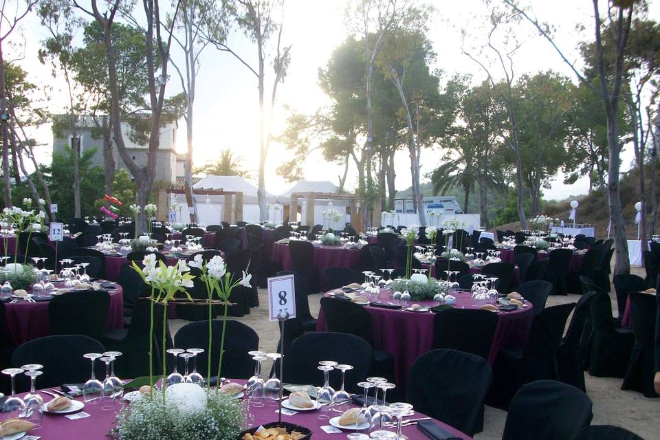 Mare Selva Eventos