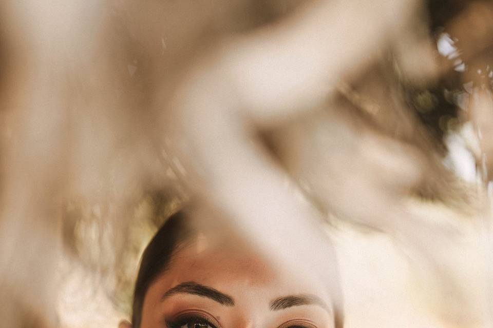 Novia