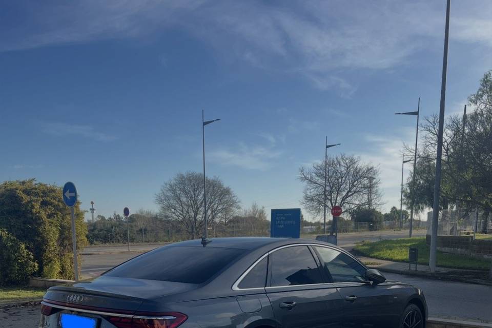 Grupo B: Audi A8
