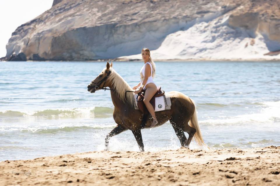 M&J a caballo