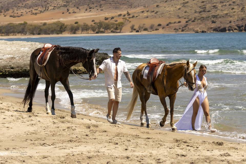 Paseo con caballos