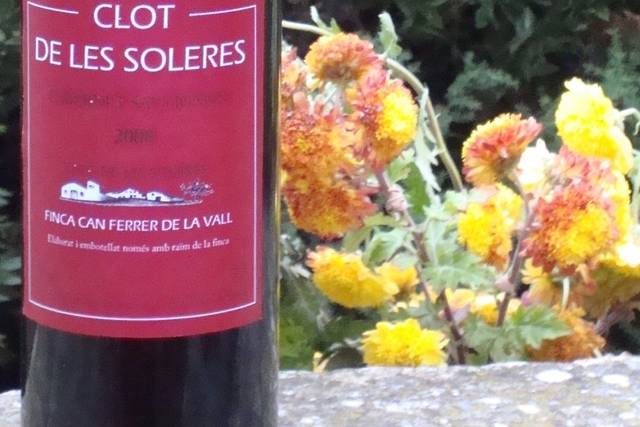 Clot de les Soleres