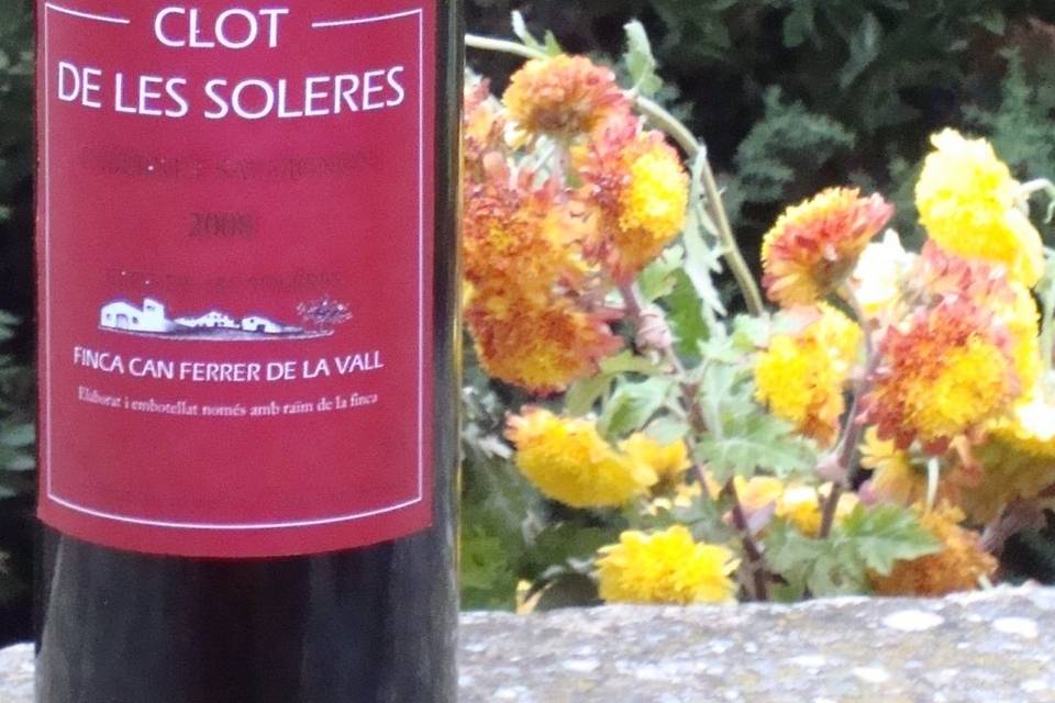 Clot de les Soleres