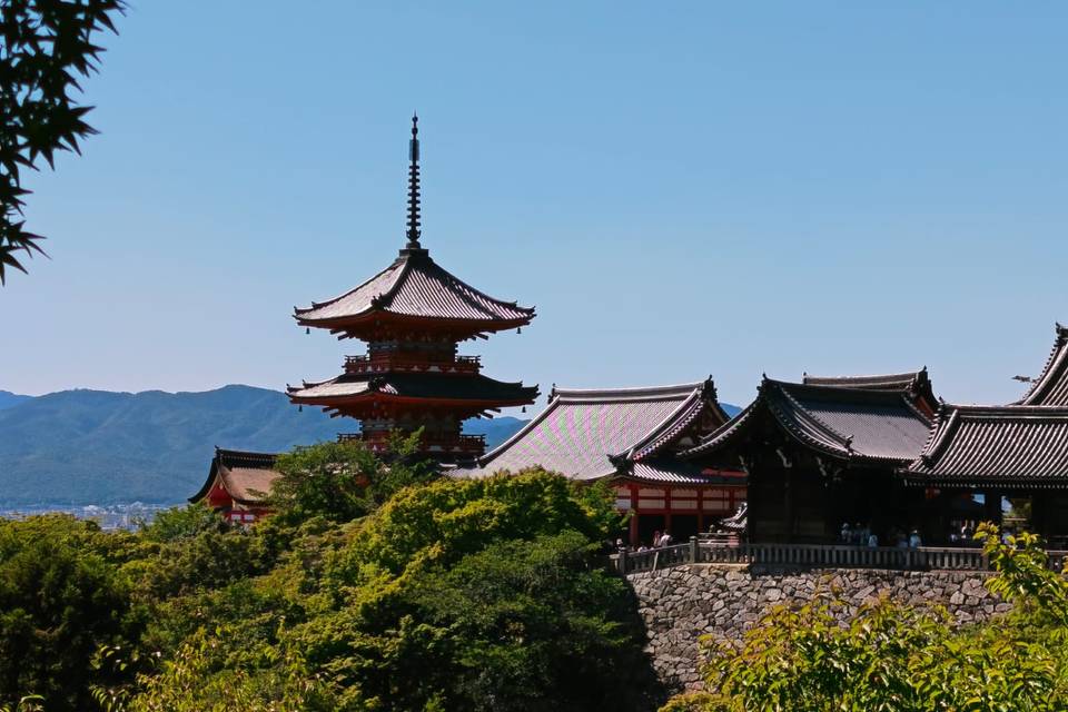 Japón Pablo y Maria 2026