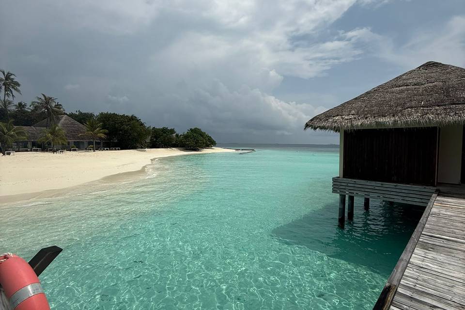 Kudafushi- LM Antonio y Tamara