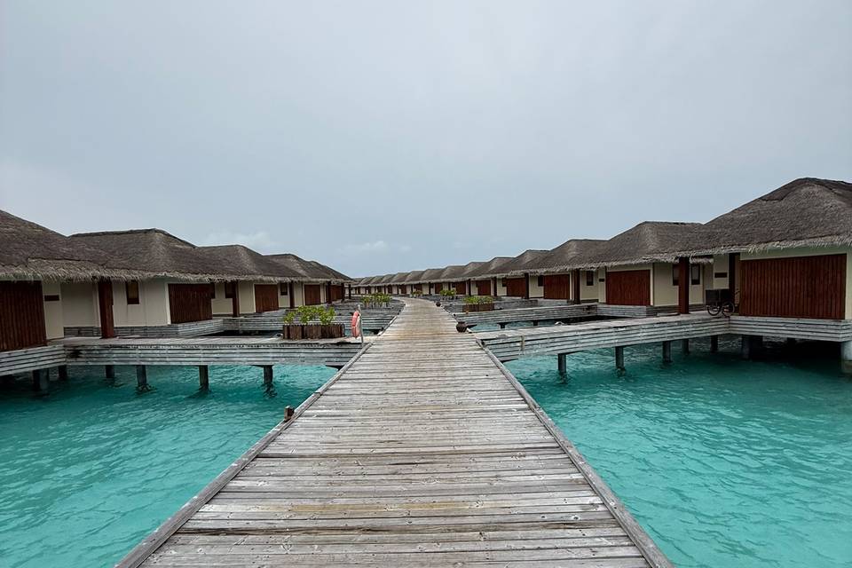 Kudafushi- LM Antonio y Tamara