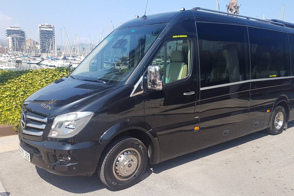 Sprinter 19 plazas