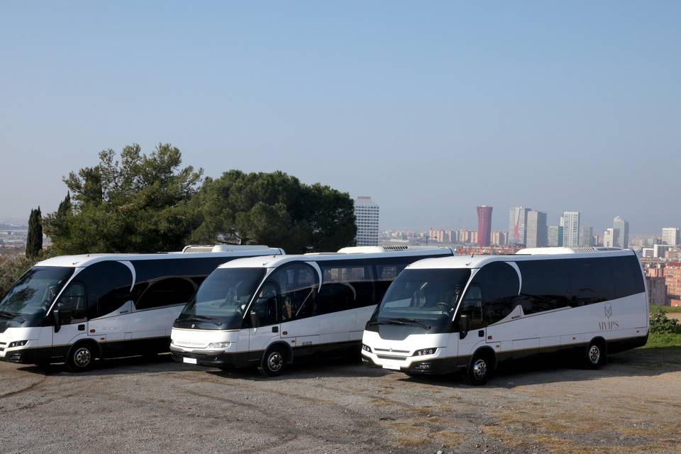 Minibuses hasta 30 plazas