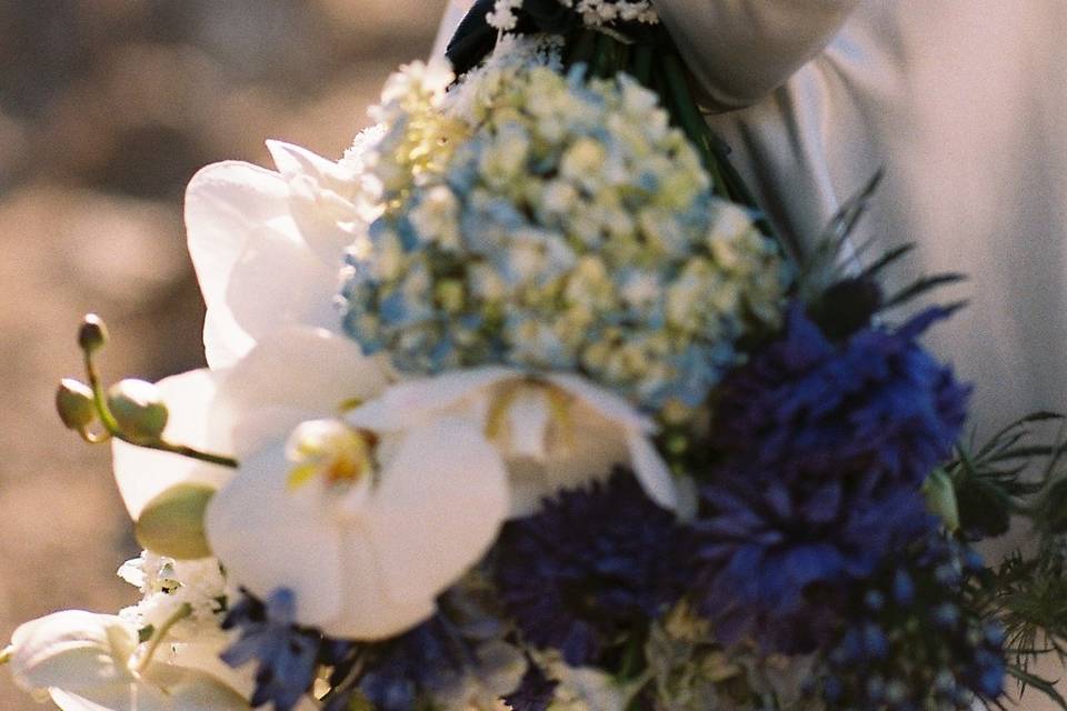 Boda preciosa