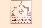 Hacienda Valdeflores