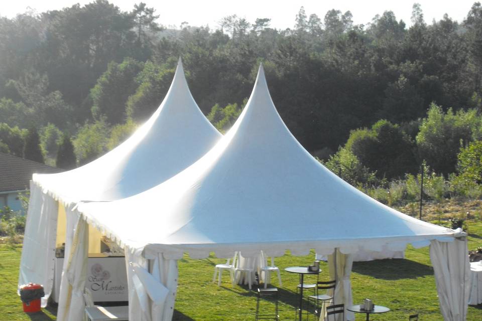 Carpa para aperitivo