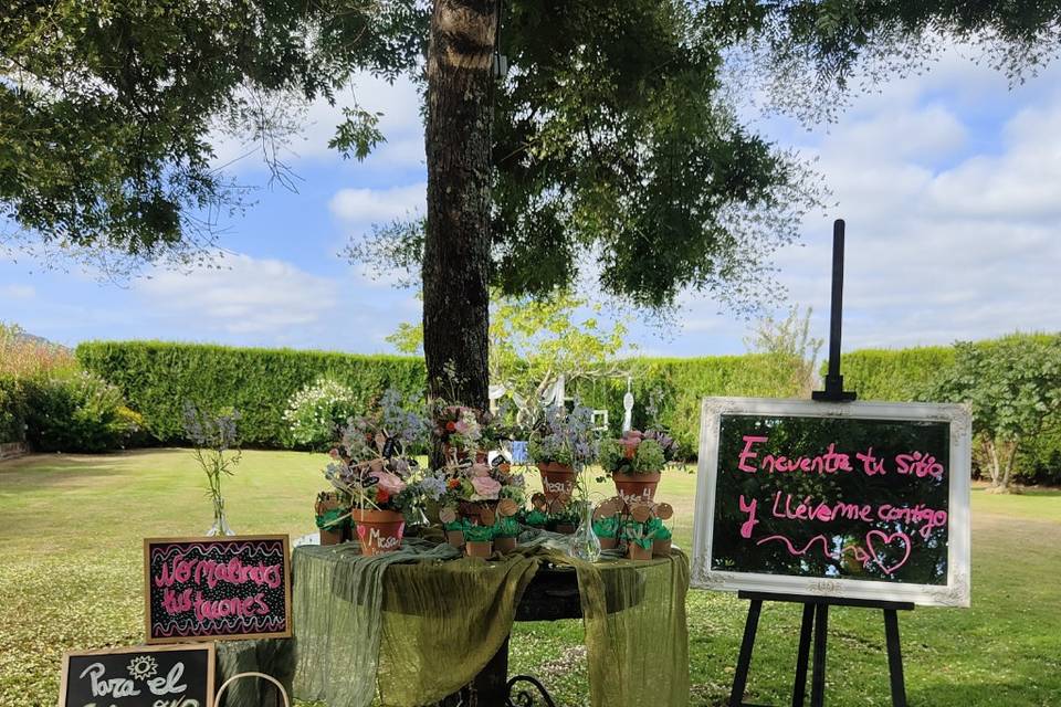 Sitting plantas