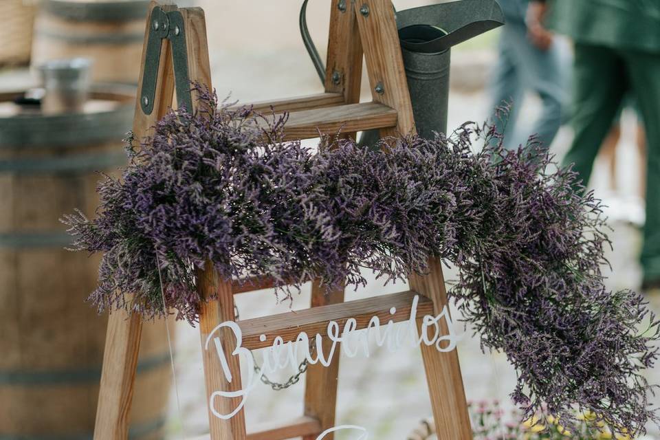 Boda