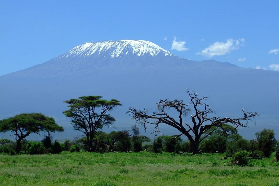 Kilimanjaro