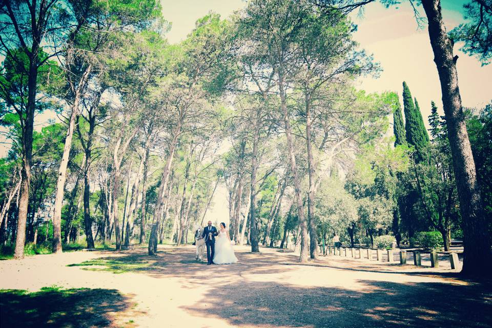 Dron en postboda