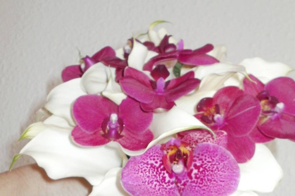 Bouquet de Phalaenopsis y Cala