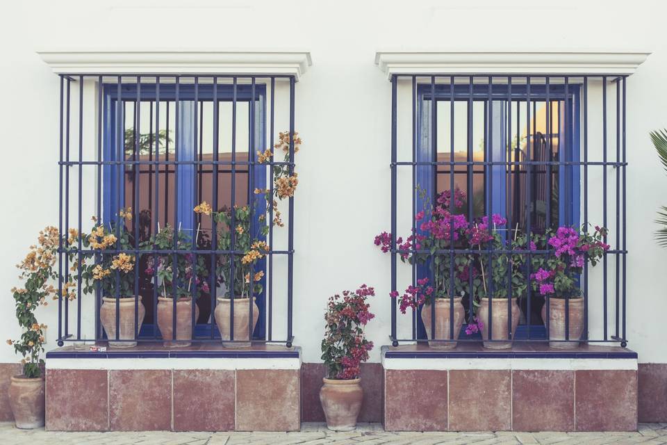 Entrada jardín de ensueño