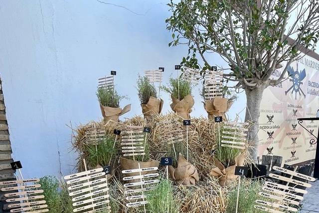 Detalles decorativos