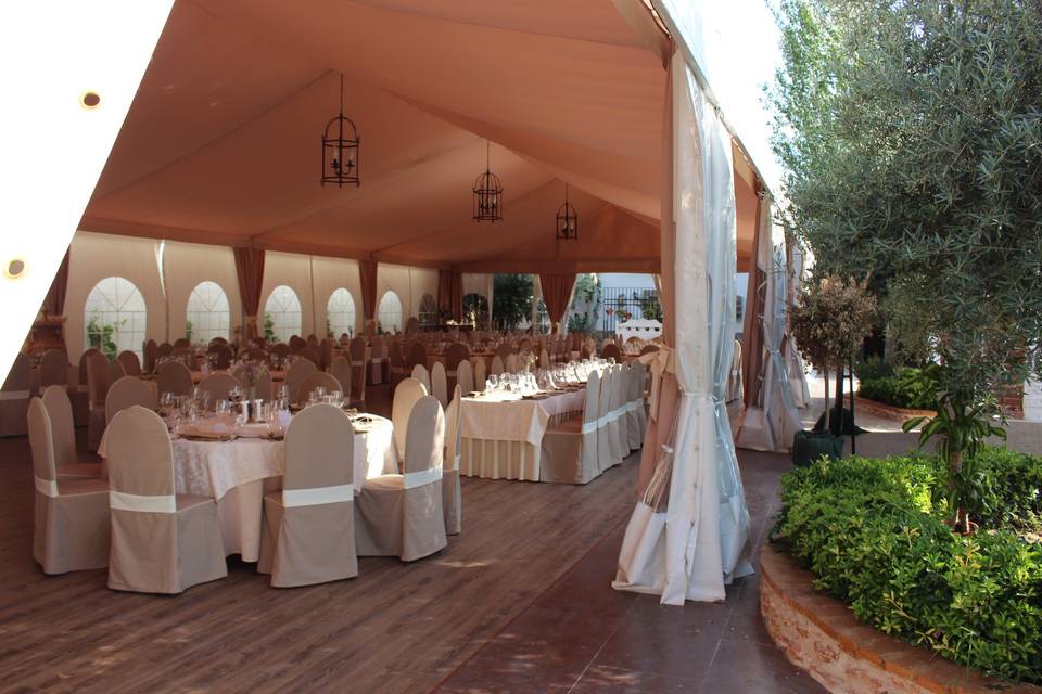 Carpa - Salón