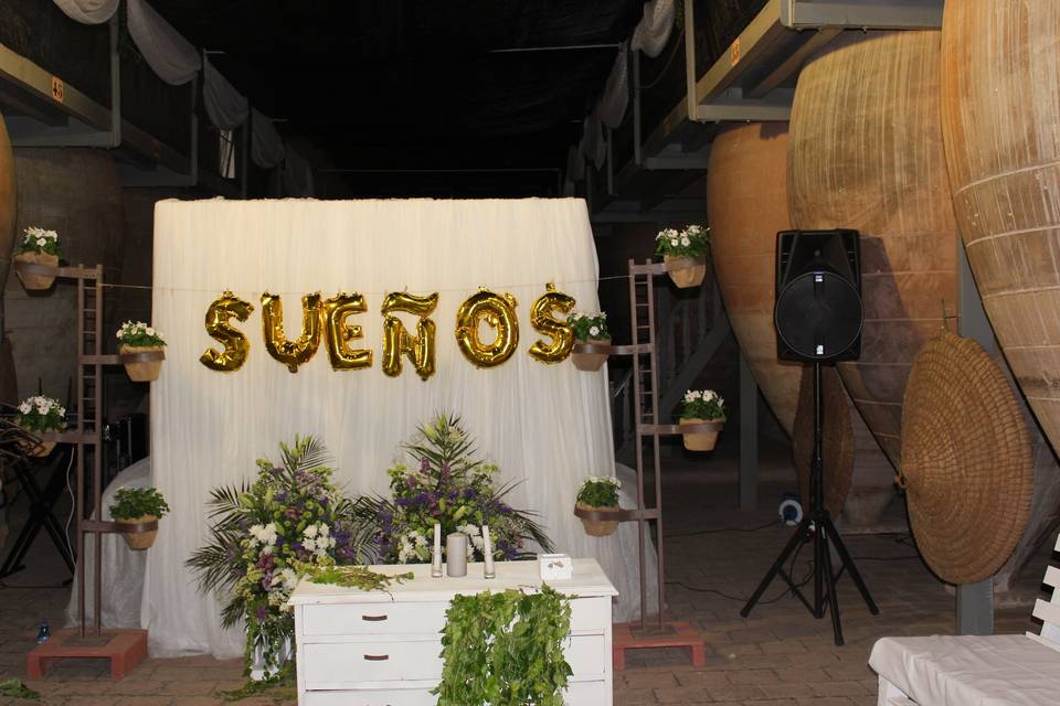 Bodegas Museo